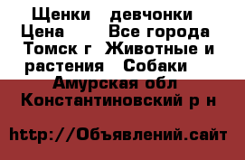 Щенки - девчонки › Цена ­ 2 - Все города, Томск г. Животные и растения » Собаки   . Амурская обл.,Константиновский р-н